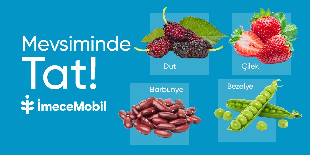 imecemobil's tweet photo. Mayıs ayının meyveleri ve sebzeleri: Dut, Çilek, Barbunya ve Bezelye.😍 Mevsim tazelerinin haldeki fiyatlarını hemen İmeceMobil uygulamamızdan öğrenin, meyve ve sebzeleri zamanında tadın! 💙

#imecemobil #meyve #sebze #meyvecilik #sebzecilik #halfiyatları #pazar #pazarfiyatları https://t.co/V4Rd6I7JbK