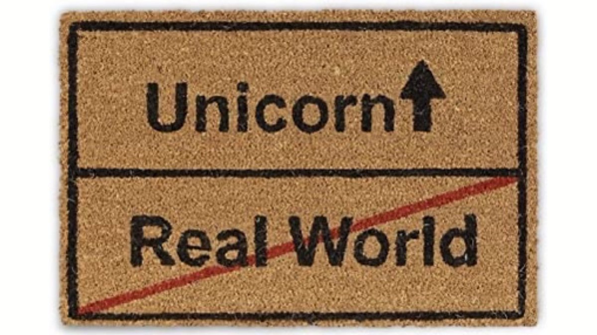 Caroline Mitchell tweet media