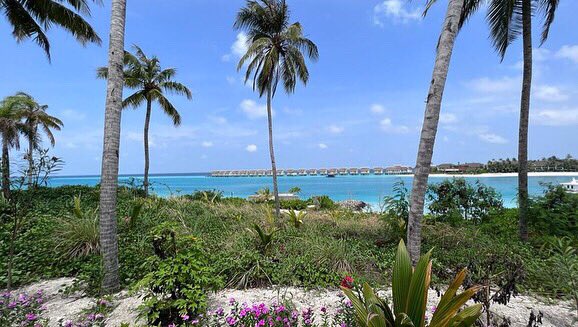 Morning stretch, swim and bicycle 🚲👑 #exercise #maldives