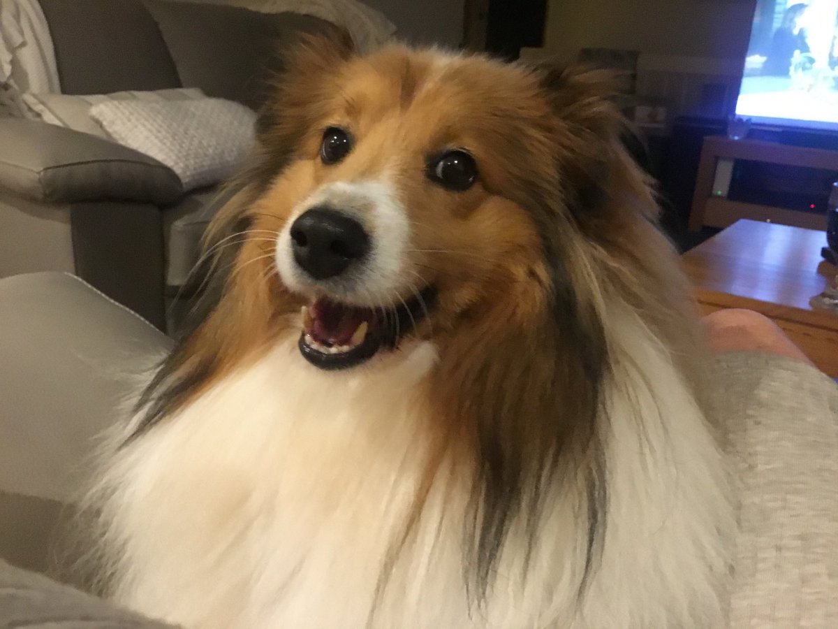 Jan Summers..🍷🇦🇺🍷 tweet media