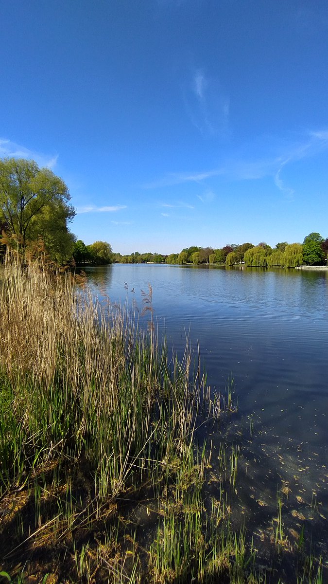 OmarXndraw tweet media