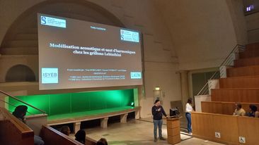 TonyRobillar's tweet photo. Présentation hier de Teddy Gaiddon #CJCM @MNHN_recherche @Le_Museum @ISYEB_UMR
sur les premiers résultats de sa thèse et l'origine des sauts d'harmoniques chez les grillons Eneopterinae https://t.co/DMYgRaJ3qy