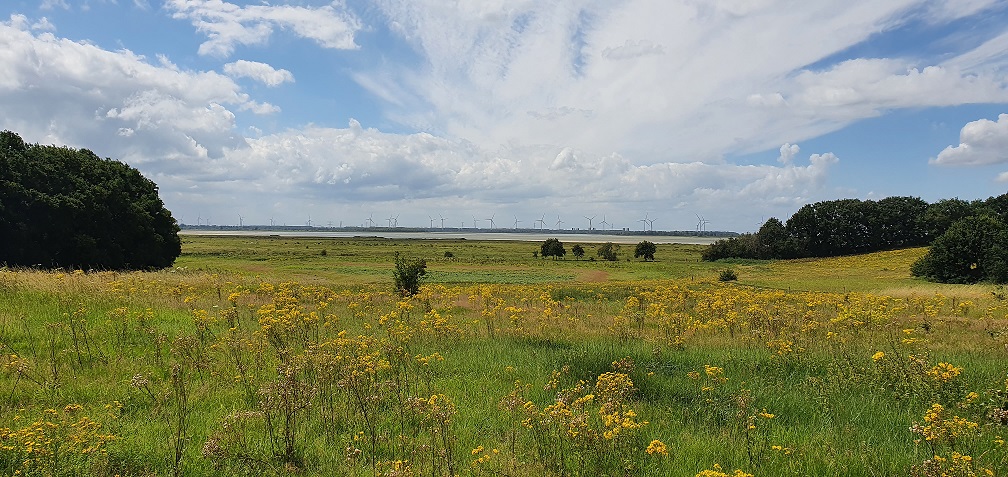Gemeente BoZ is bezig met de ontwikkeling van een visie voor het buitengebied en vindt het belangrijk dat de stem van alle inwoners, ondernemers, bezoekers van het buitengebied wordt meegenomen. Daarom start ze op  9 mei met het verzamelen van deze input. bit.ly/3P1lHNV