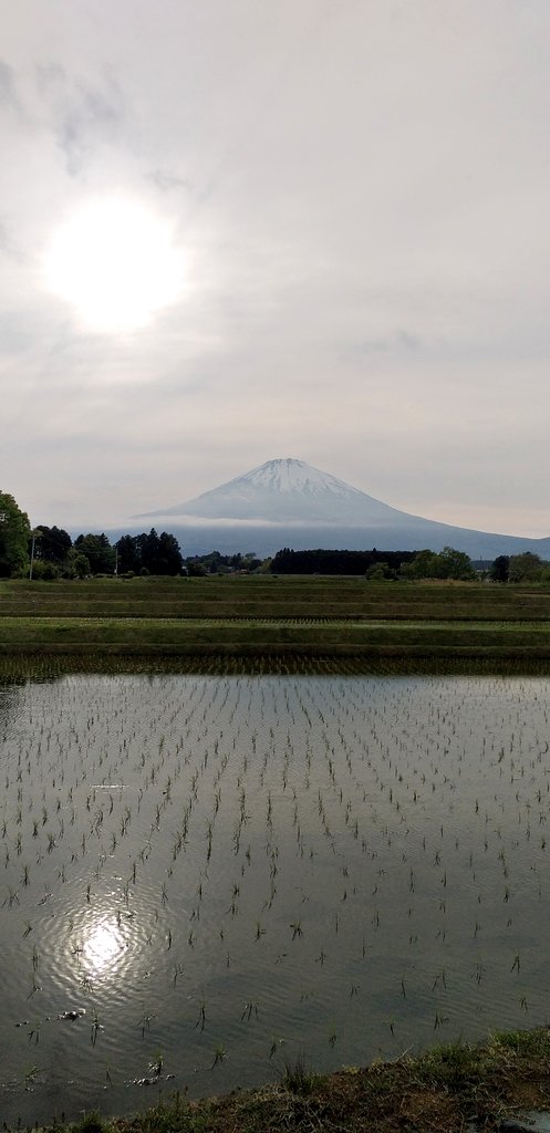 🗻富士山通信🗻 ずっと雲に隠れていましたが夕方近くに 姿が🗻 ☀太陽との逆さ富士🗻 富士山はほとんど わからないかも😅 今日もお疲れさまでした💕 お仕事終わりの方々 お気をつけて ご帰宅くださ