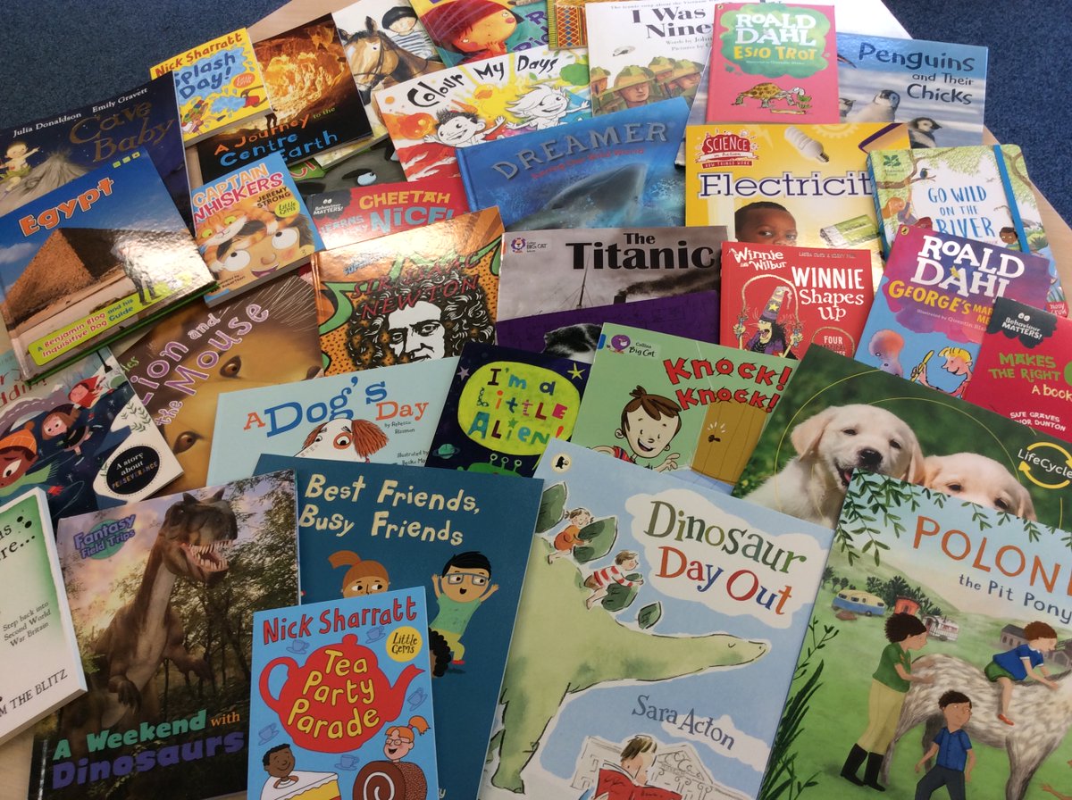 With the £2264.56 that we raised for the Sponsored Skip, each class was given £100 to spend on brand new books with £1000 for the library. 

Swipe to see the books Sapphire Class have ordered. 

#edithcavell #edithcavellprimaryschool #ecps #sapphire #readingbooks #library