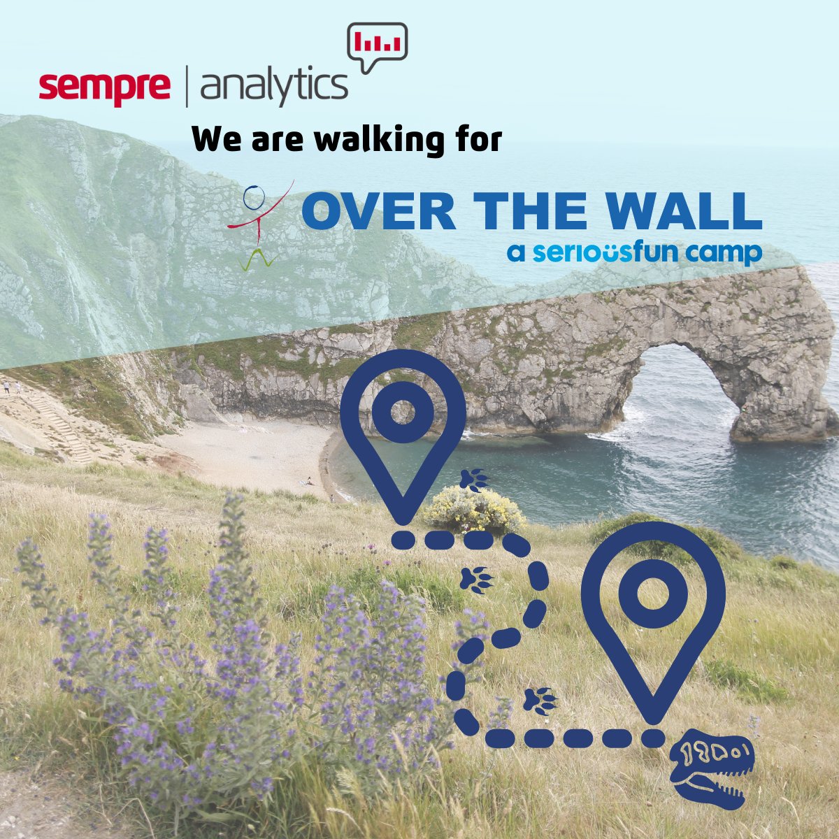 Sempre Analytics tweet media
