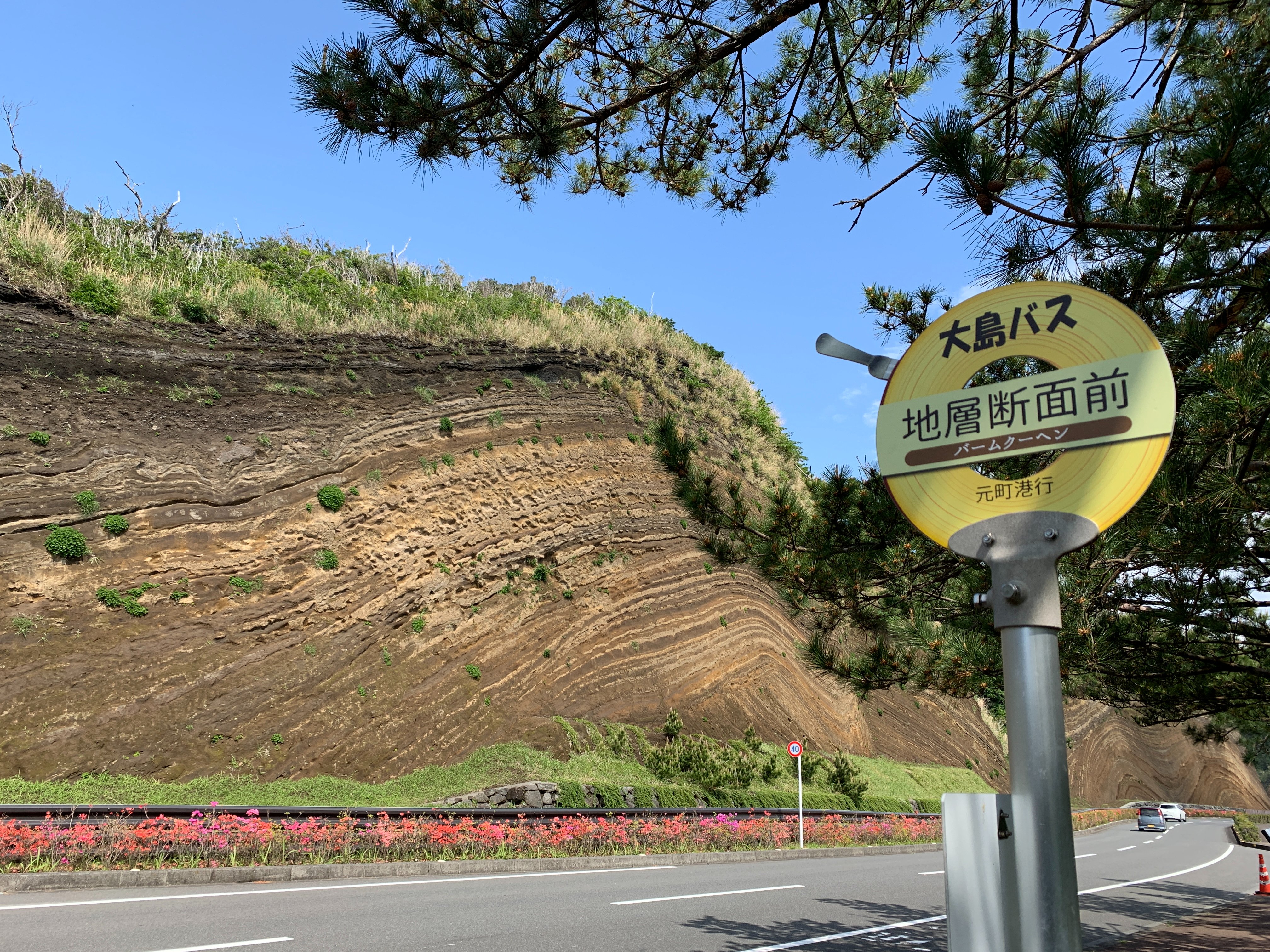 大島椿株式会社 公式 こんにちは つばき ゆ です 大地の歴史を感じる島 火山の島 伊豆大島 では 東京都にありながら大地の歴史を体感できるんだ 通称 バームクーヘン と呼ばれている 地層切断面 は写真スポットのひとつだよ 島に