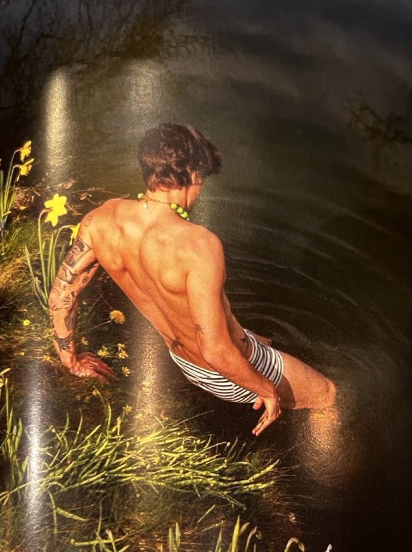 theharrylibrary's tweet photo. Harry for Better Homes &amp; Gardens https://t.co/O5bJlTg2Lv