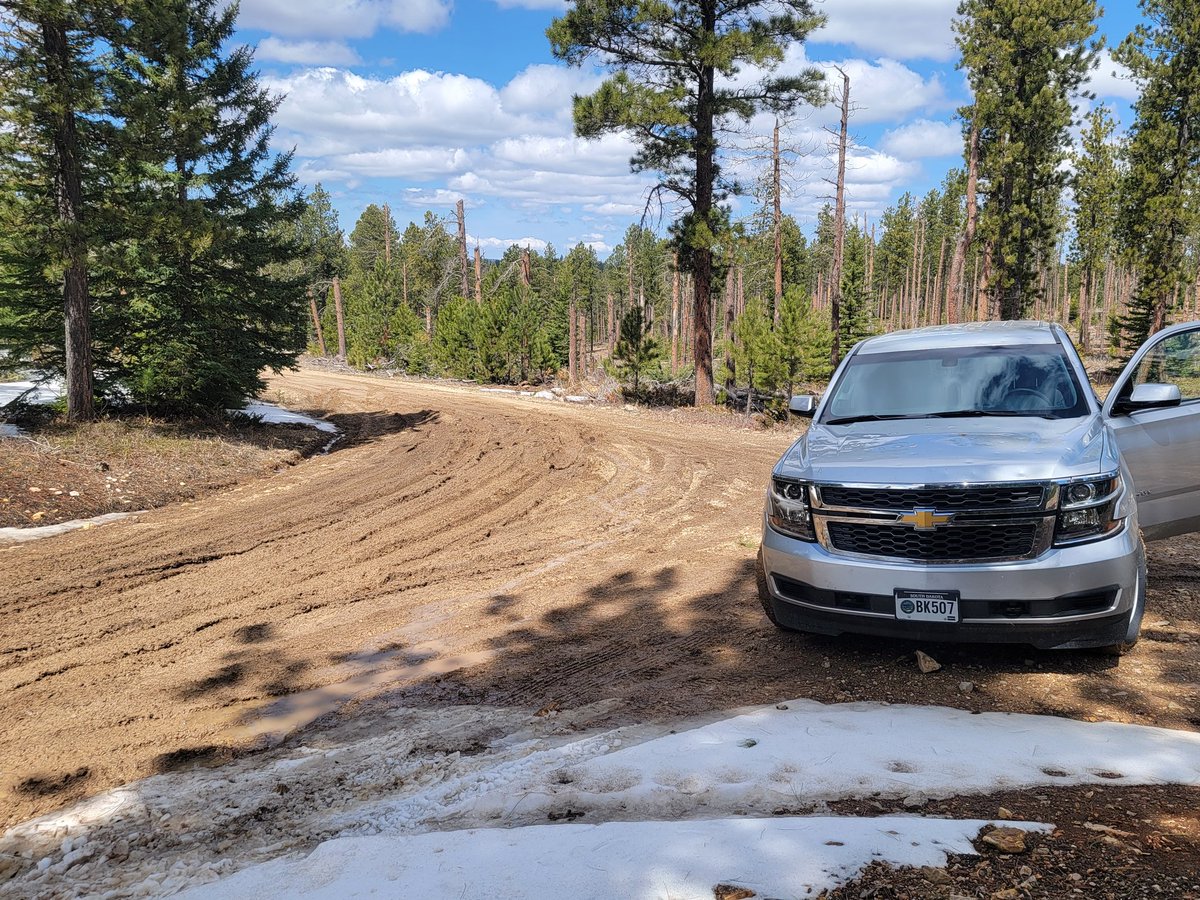 DrJessGraham's tweet photo. Visited my field site for the first time since 2016! Still snow on the ground, and deep mud on the roads, but juncos and junco song everywhere!! 🥰 https://t.co/hA1tWpWZEs