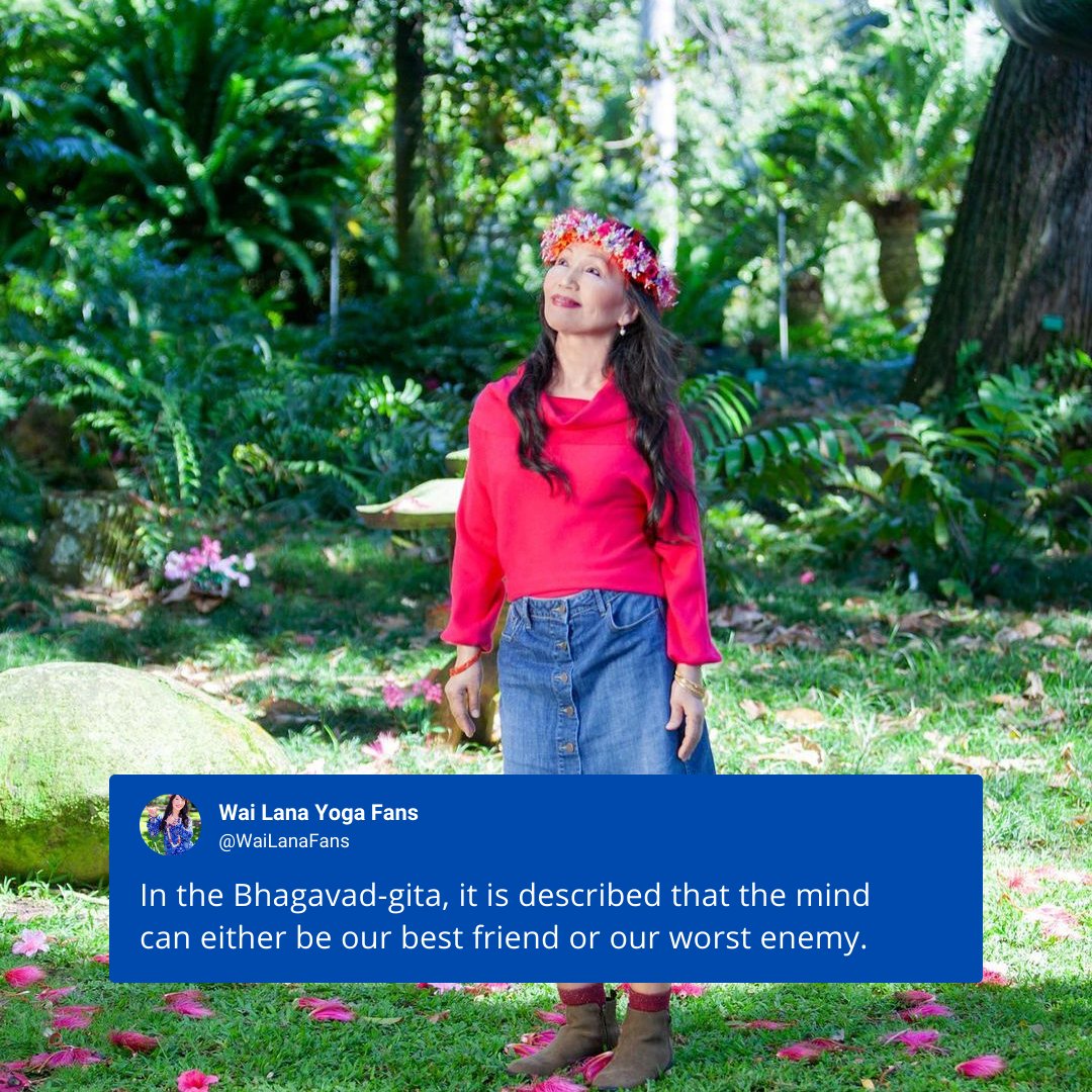 WaiLanaFans's tweet photo. In the Bhagavad-gita, it is described that the mind can either be our best friend or our worst enemy.
#WaiLana #YogaWisdom #YogaQuotes #YogaIcon https://t.co/eLRCjvoJ6P