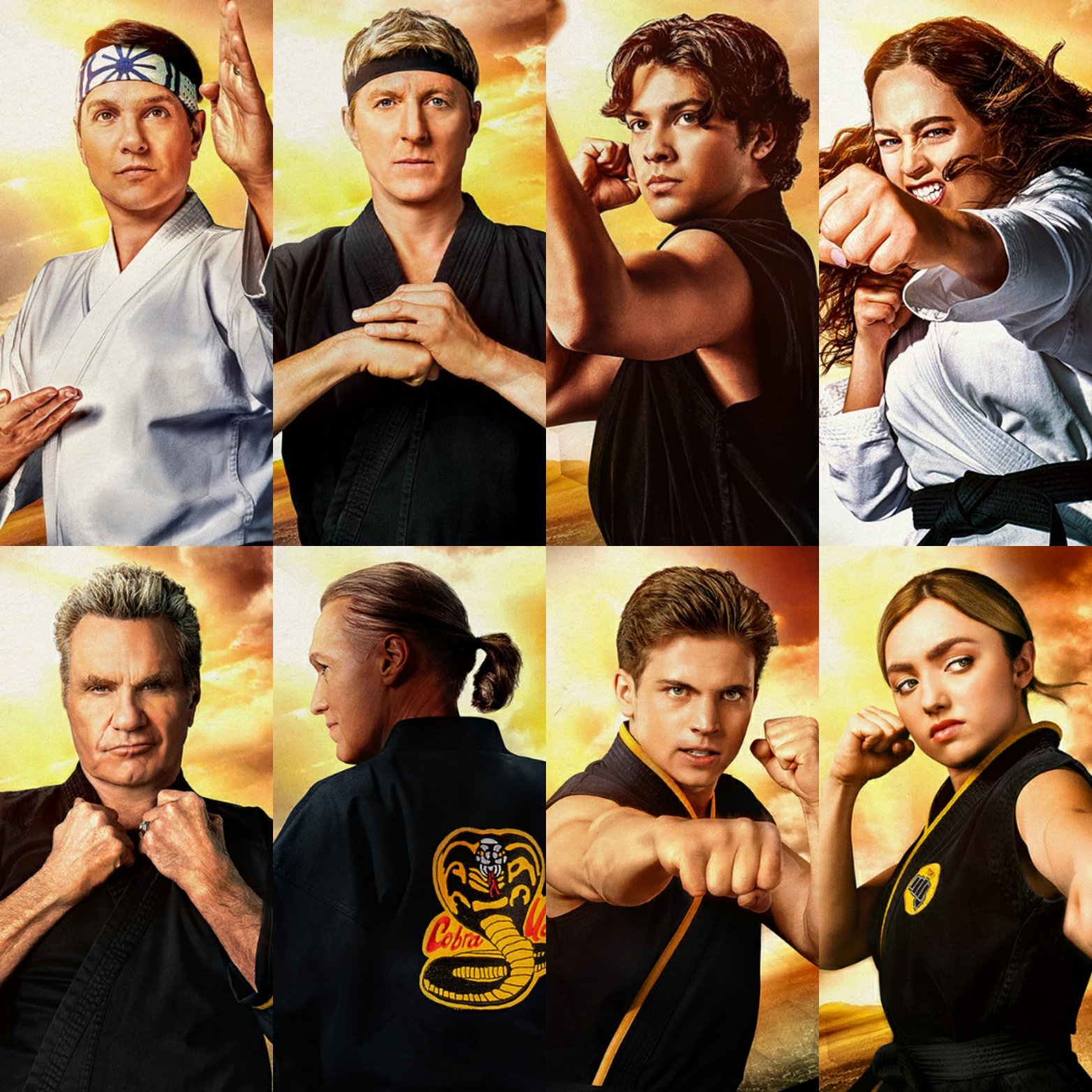 Séries TV Show BR on X: A 5ª temporada de Cobra Kai estréia em 9