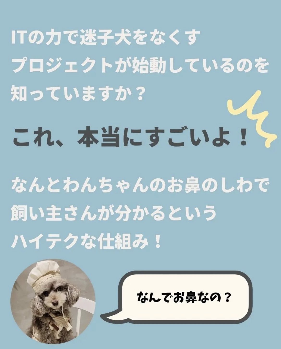 Nose Id 鼻紋認証 Official Noseid Official Twitter