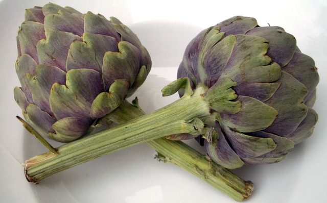 HealthyHubb's tweet photo. 10 Amazing Health Benefits of Artichokes
https://t.co/SINvYhTJDR https://t.co/wRlHGJwnuR