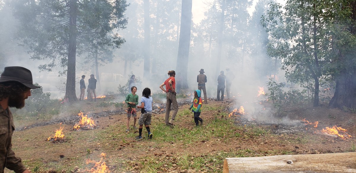 2 burn days in a row, and they couldn't have been more different. Today's burn was started using a hand-drill, led by Maidu people, and tended by children - part of the land-tending curriculum at the Buckeye Gathering, an ancestral skills family camp. Fire is the best teacher.