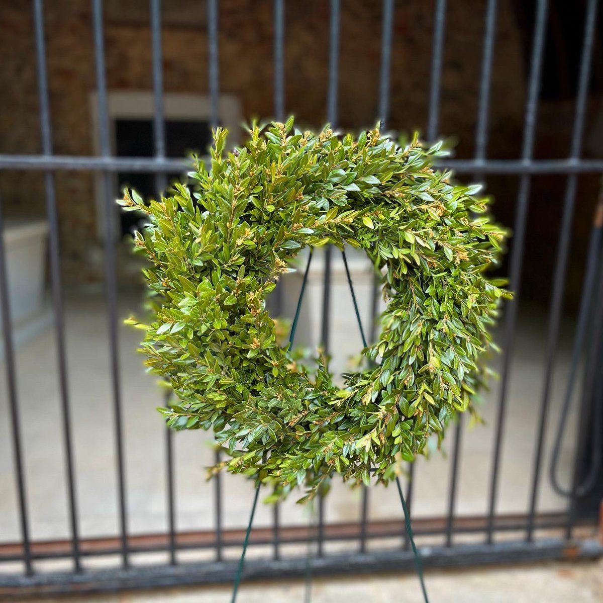 wtbates's tweet photo. Random shots from the last few days. The wreath is in front of George Washington’s grave at Mount Vernon. #PinewoodDC22 #DCadventure https://t.co/e1L5rHDlSG