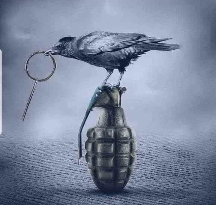PositiveAfghan3's tweet photo. په هر ځای ناسته او هلته مداخله کول نه دي په کار؛ ځکه شاید همدغه مداخله مو ژوند له ستونزو سره مخ کړي.
#ملغلرې
#Miakhel https://t.co/owWNaUEkGQ