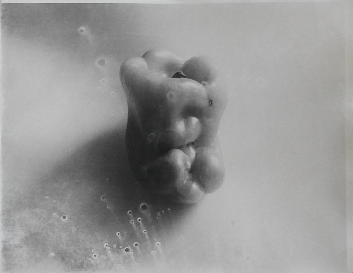 phiauction's tweet photo. The Rare Pepper from
Film and Pixel: Photography Auction
Edward Weston
Pepper
Starting bid: $2,000

AUCTION ENDS SOON:
Friday, May 6th, 2022 @ 5 PM 

⁠VIEW LOT and BID:
https://t.co/zjSiHHaW0P

#EdwardWeston #ColeWeston #photography #collectingphotography #photoart #iconicphoto https://t.co/MVbM2ucyOe