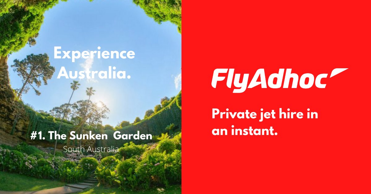 Flyadhoc's tweet photo. #flyadhoc #flyprivate #flynow | Private Jet Hire booking service. https://t.co/v6337updsp | corporate and lifestyle travel. https://t.co/FnyrNyiJYF