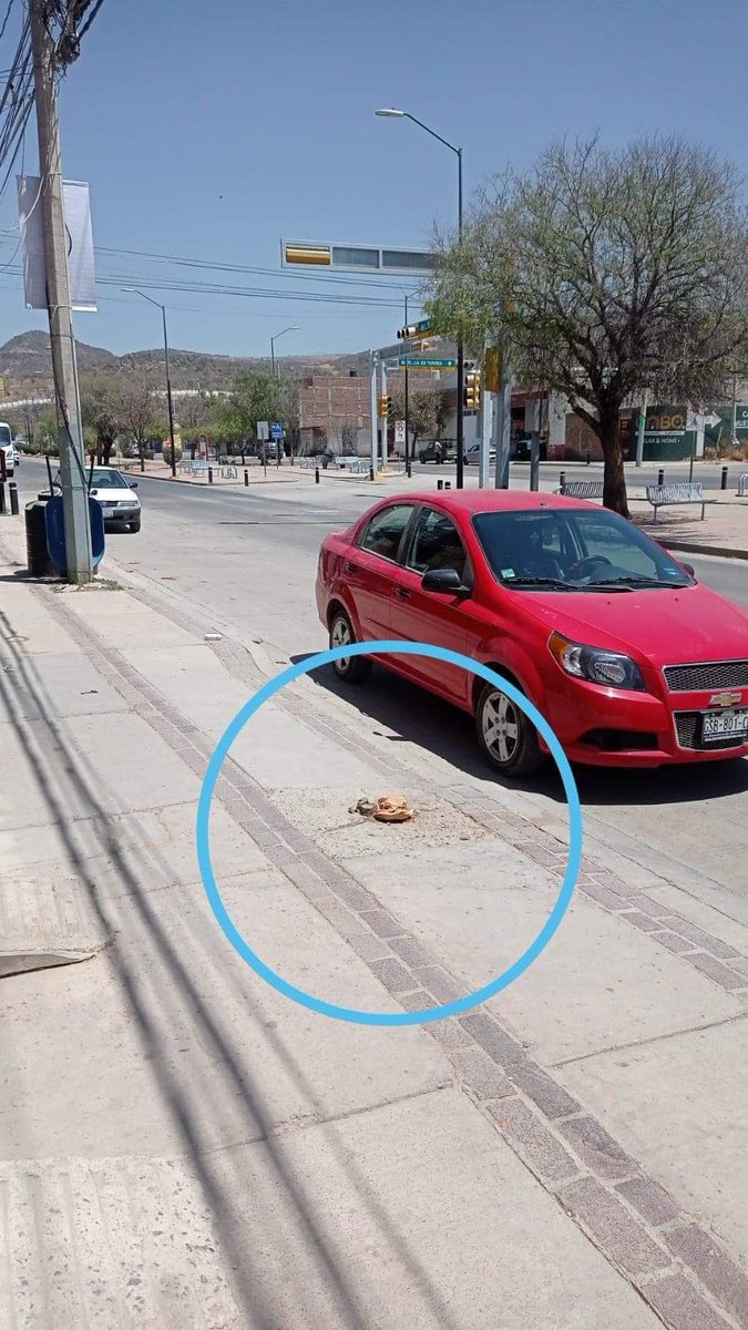 Bulevar La Luz y Bulevar Juan Alonso de Torres, #LeónGto… está magia de desaparecer árboles no es divertida <a href="/AleGutierrez_mx/">𝗔𝗹𝗲 𝗚𝘂𝘁𝗶𝗲́𝗿𝗿𝗲𝘇</a> <a href="/betomof/">Beto Moreno</a>