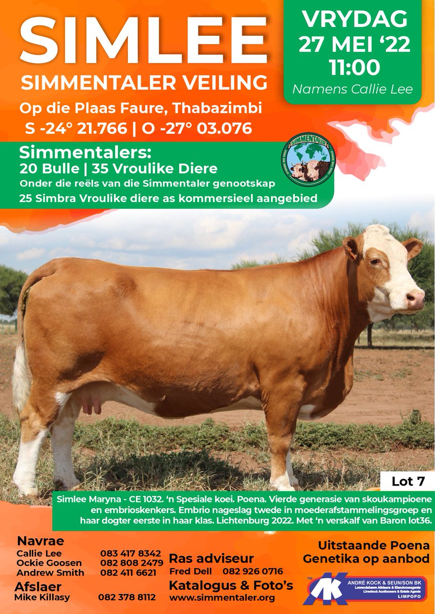 SimmentalerZA's tweet photo. Simlee #Simmentaler Auction, 27 Mei 2022 at 11h00 on the farm Faure, Thabazimbi.

20 Bulls and 35 females on offer. https://t.co/n3eOrf00L0