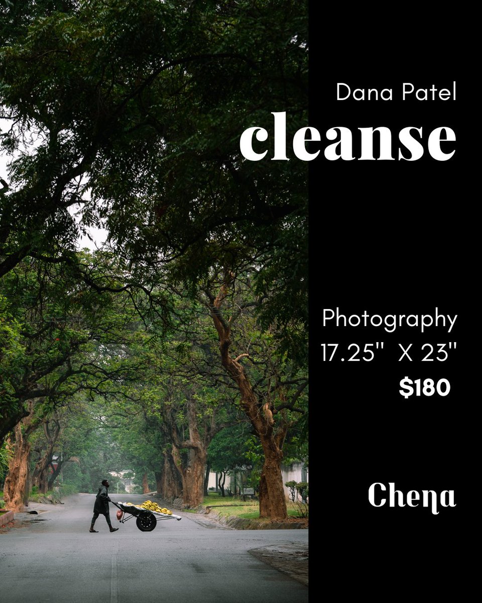 chena_gallery's tweet image. Another lovely image by Photographer Dana Patel @danapatelphoto titled "Cleanse" , with this image taken after the first rains of teh season. Now available at Chena Art Gallery

Call us on +2609635066655 or visit chena-gallery.com for more.

#lusaka #firstrains #africa