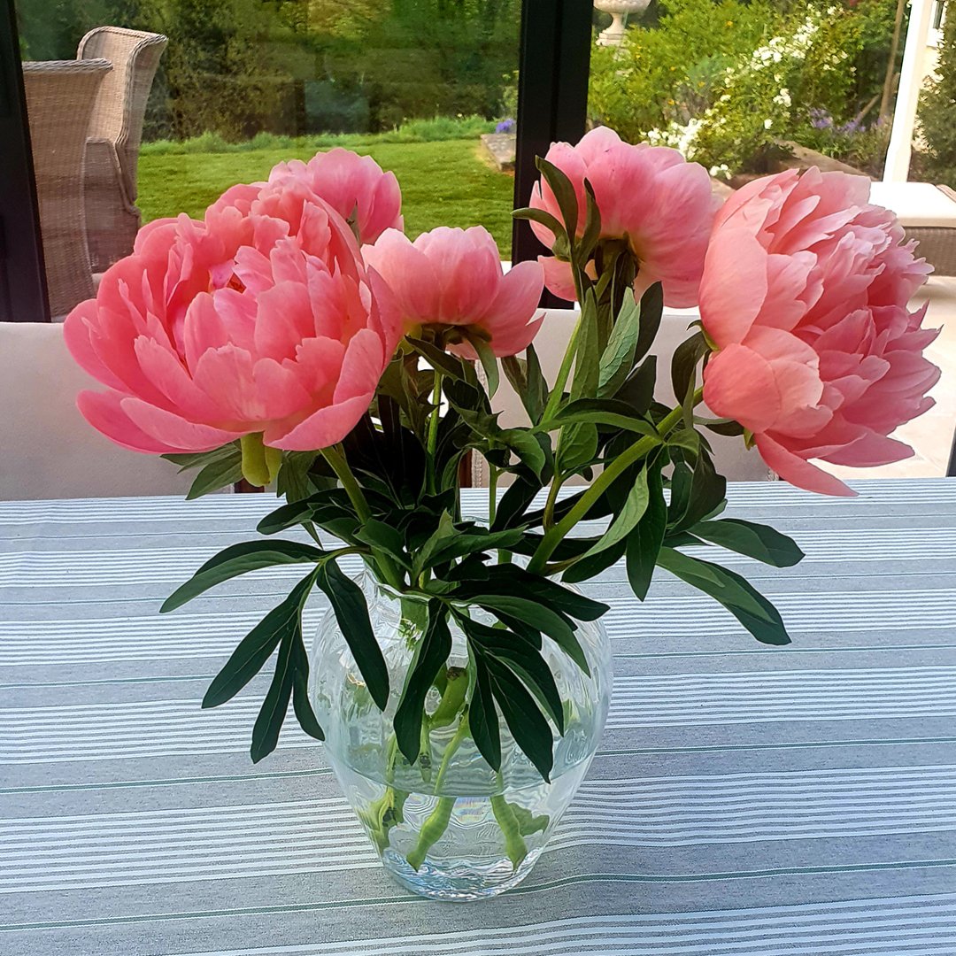 PangolinPeony's tweet photo. We're so happy it's finally peony season again! 🥰

As you can see from our name, peonies are our favourite flowers, so we will be making the most of the short time they are around! 

#peonyandpangolin #peonyseason #peonyflower #peonyaddict #peonies #peonylover  #womenwhocrea https://t.co/Y4jKC0XQVy