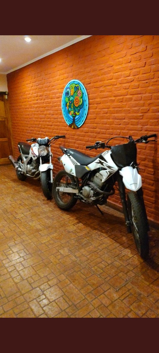 Taban en punga jj