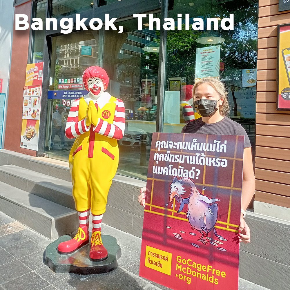HappyTheHen's tweet photo. I’ve heard that many people have been locked down in Asia for some time. Yet there are people in cities across Asia demanding @mcdonalds free us from cages. At a time of such human hardship, people still care about our suffering. Our time is coming… #GoCageFreeMcDonalds https://t.co/lsC8YxbL9H