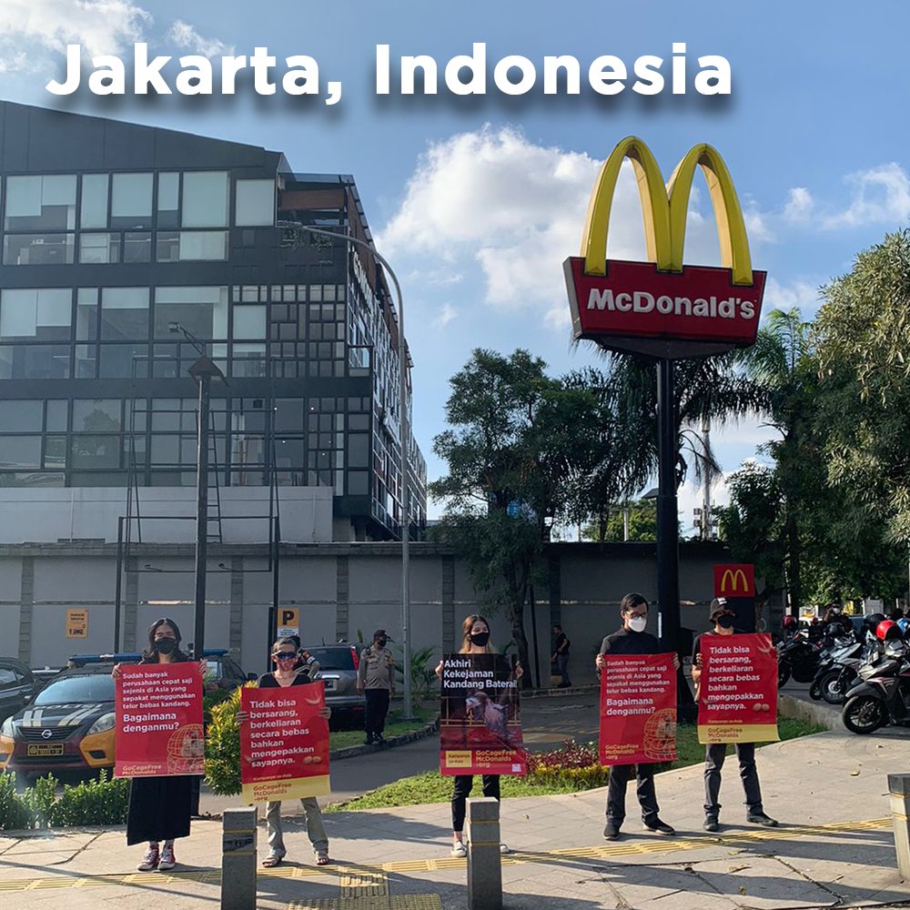 HappyTheHen's tweet photo. I’ve heard that many people have been locked down in Asia for some time. Yet there are people in cities across Asia demanding @mcdonalds free us from cages. At a time of such human hardship, people still care about our suffering. Our time is coming… #GoCageFreeMcDonalds https://t.co/lsC8YxbL9H