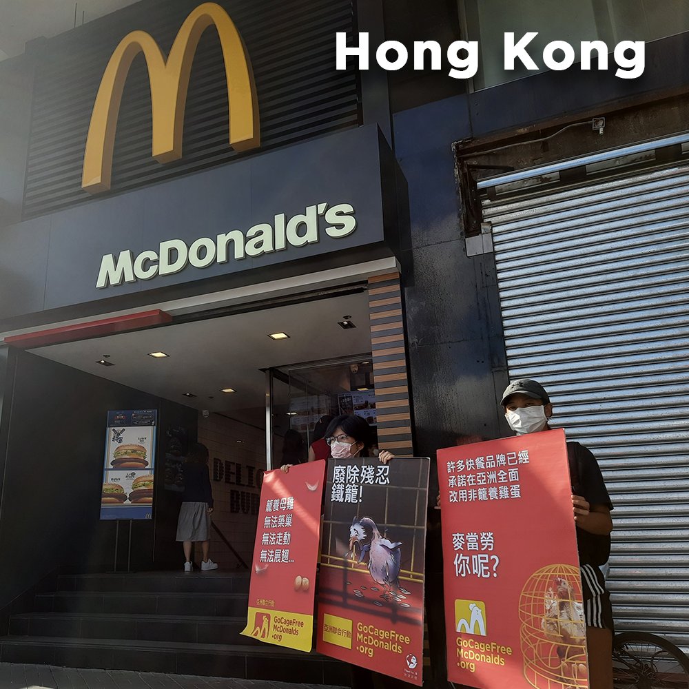 HappyTheHen's tweet photo. I’ve heard that many people have been locked down in Asia for some time. Yet there are people in cities across Asia demanding @mcdonalds free us from cages. At a time of such human hardship, people still care about our suffering. Our time is coming… #GoCageFreeMcDonalds https://t.co/lsC8YxbL9H