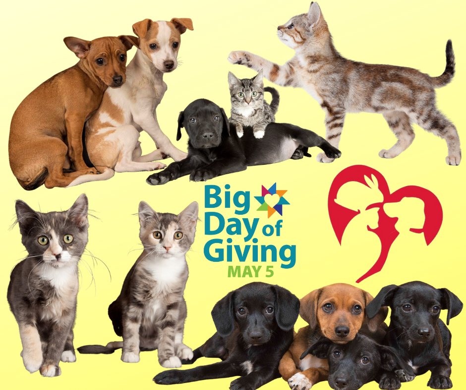 There is still time to help!  Donate through our website yolospca.org/donate.html
or <a href="/bigdayofgiving/">Big Day of Giving</a>  bigdayofgiving.org/organization/Y…