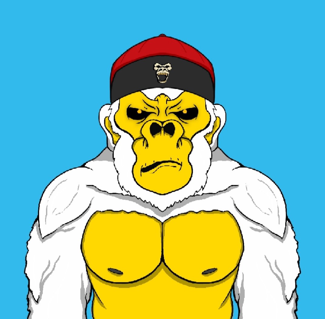 ingemario's tweet photo. #AnimaverseNFT #GorillaGang #NFTs #nftart #NFTshill #NFTartwork #NFTProjects #PolygonNFTs #APE
#maticnft #OpenSeaMarket

i want to sell it,, DM me if you are interested 🙏🏼👍🏻 https://t.co/LFFHQkyD5W