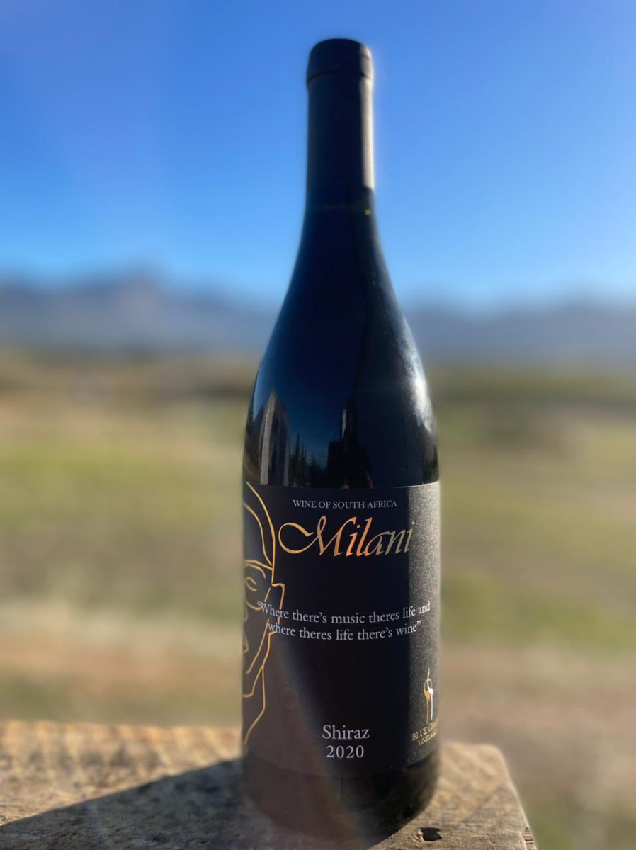 ChrisExcel102's tweet photo. What makes it more interesting is that Prince Kaybee wines 🍷 is Harvested and packaged here in South Africa by South Africans… 🤌 https://t.co/lXiHrQAdGd