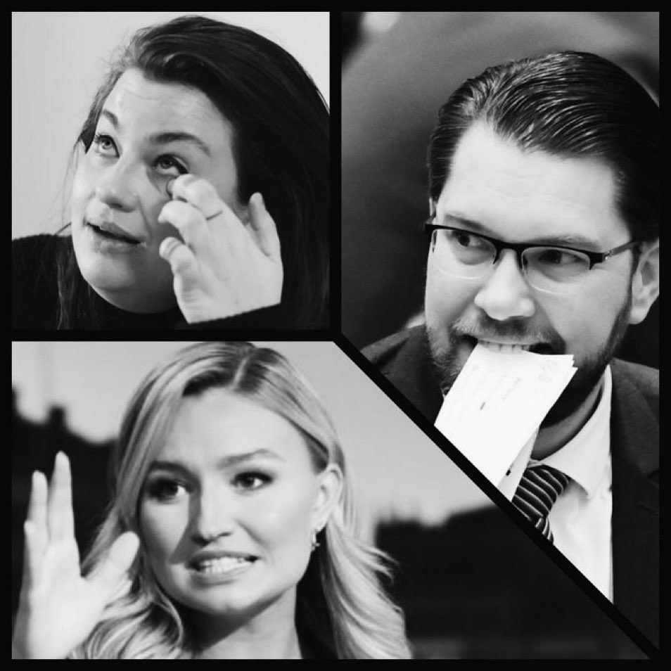 MollerReal's tweet image. TV4 Inventarien/Experten Göran Greider tycker att det är vrickat och oacceptabelt  att Åkesson bojkottar Järvaveckan om Kakmonstret kommer, men att Kakmonstret bojkottar ELLE Galan om Ebba kommer är ok.