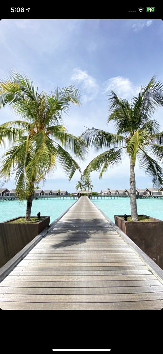 modrips's tweet image. paradise