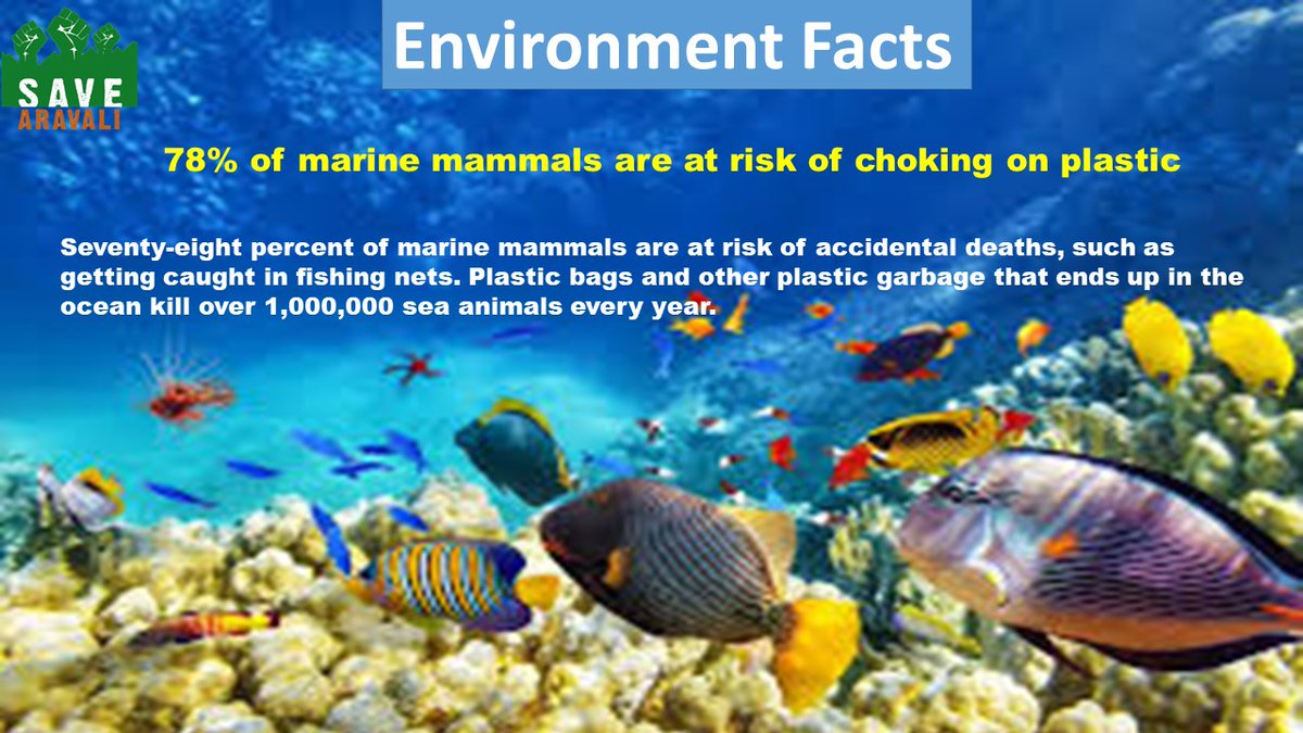 SaveAravali's tweet photo. #Environmentfacts #stopkillinganimals #stopplastic #saveseaanimals #savemotherearth #savenature #savemarineanimals https://t.co/4PTDnvurYw