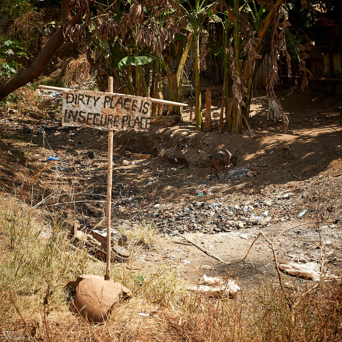 wittlitweets's tweet photo. Message, Juba, South Sudan [15.02.2019]

#DirtyPlaceIsInsecurePlace #message #rubbish #Juba #conflictzone #SouthSudan #Africa #EastAfrica #travelAfrica #offTheBeatenPath #RoadsLessTravelled #wittlig #NeverStopToExplore https://t.co/Oyb0yppOlJ