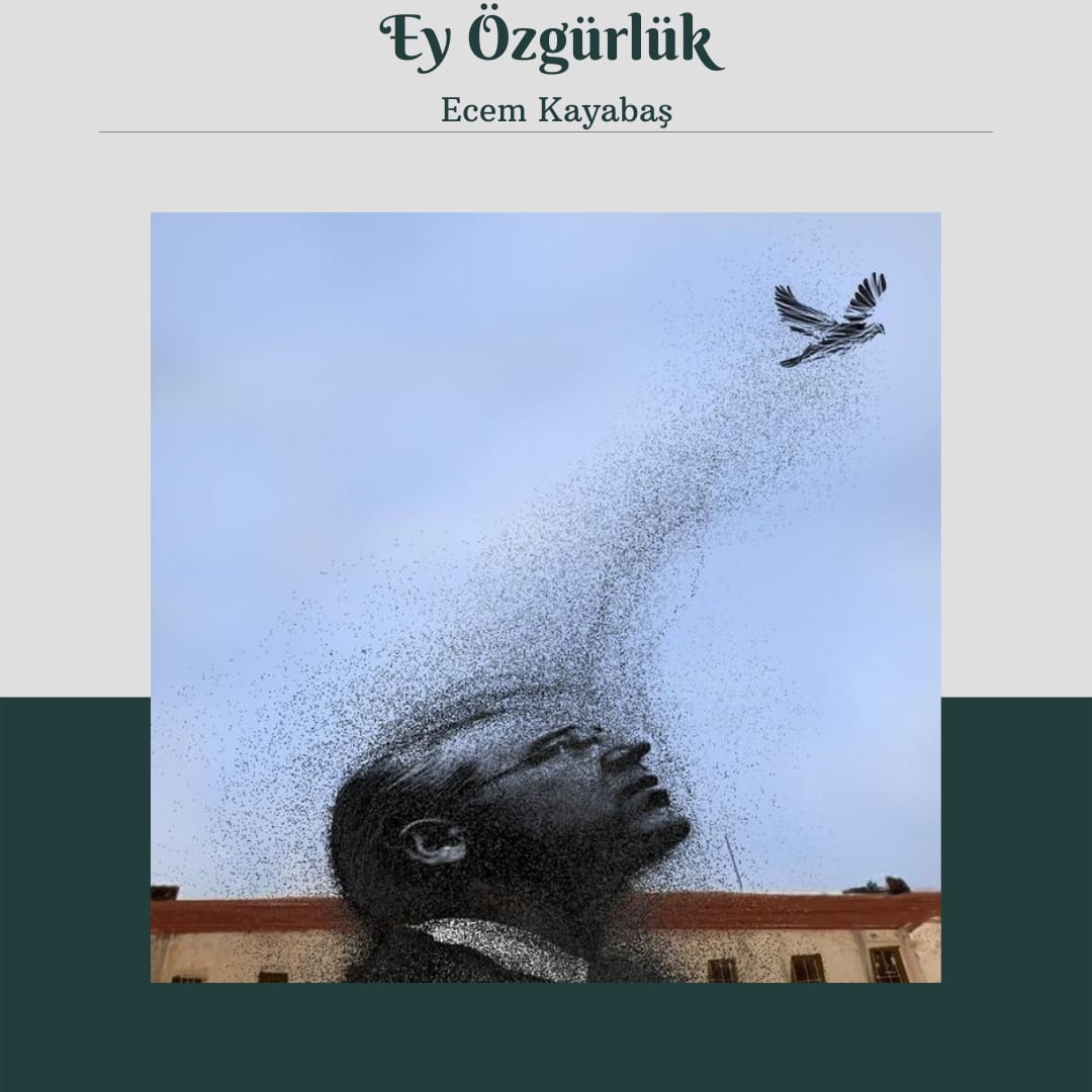 📌: Ey Özgürlük 
👩🏻‍🎨: <a href="/kayabasecemm/">ecem</a> 

yelefanzin.com/post/ey-özgürl…