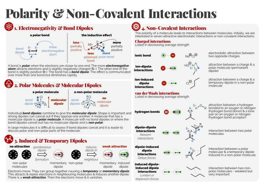 nz_molecules tweet picture