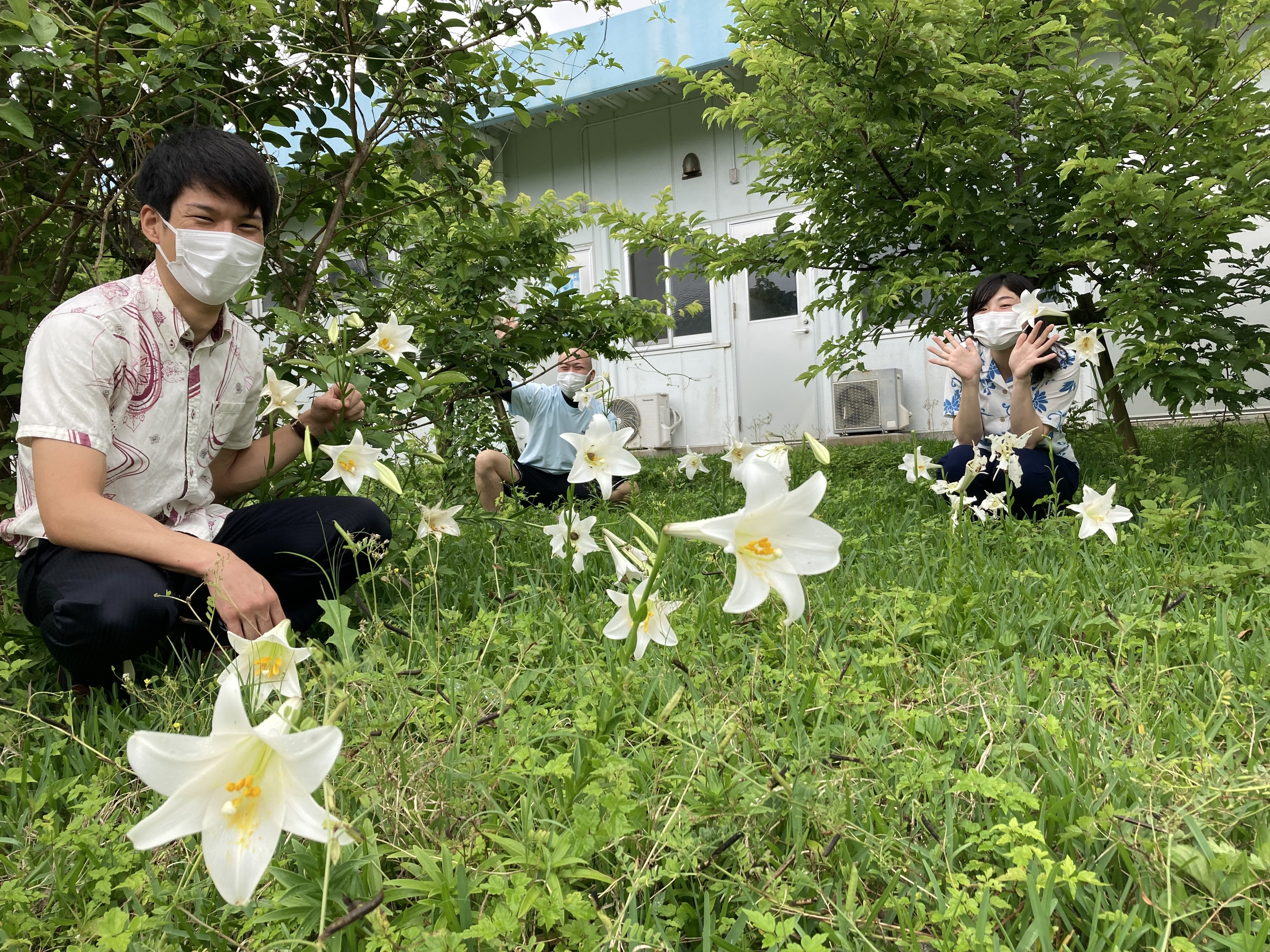 八洲学園大学国際高等学校 通信制高校 ゆり祭り 学校からみえる 伊江島 で 現在 伊江島ゆり祭り が開催されていますが 八洲にもゆりの花が咲いています 規模が全く違いますが 学校内で 八洲 ゆり祭り 開催中 通信制