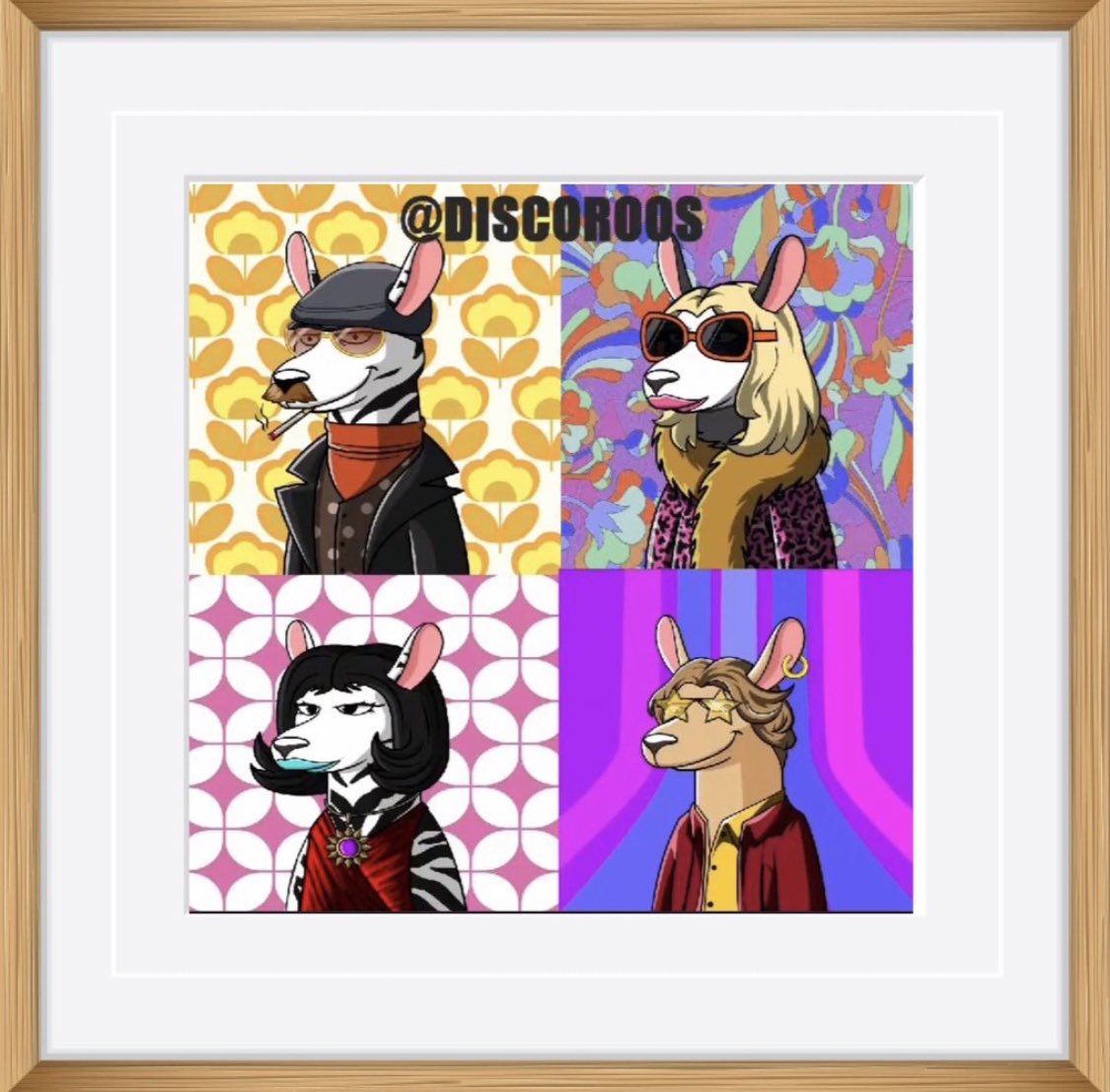 world_nft_'s tweet photo. @DiscoRoos
 The grooviest disco funk-tastic NFT Collection. Join the Discoroos club. They are slammin', hoppin', ready to party.                                    #NFTCommunity #NFT #NFTs #NFTCollection #NFTartist
Public Sale Now!
https://t.co/TdToMBvuz2
https://t.co/T2LecRf4K5 https://t.co/1SAmUUx5RZ