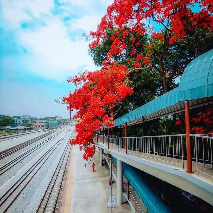 কুমিল্লা রেলওয়ে স্টেশন.. 🥰🥰