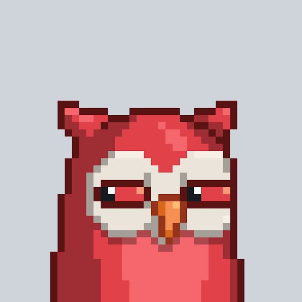 My <a href="/moonbirds/">Moonbirds</a> that’s nesting. 🦉

Wanna follow all birds. Let’s go!
#birdfollowbird