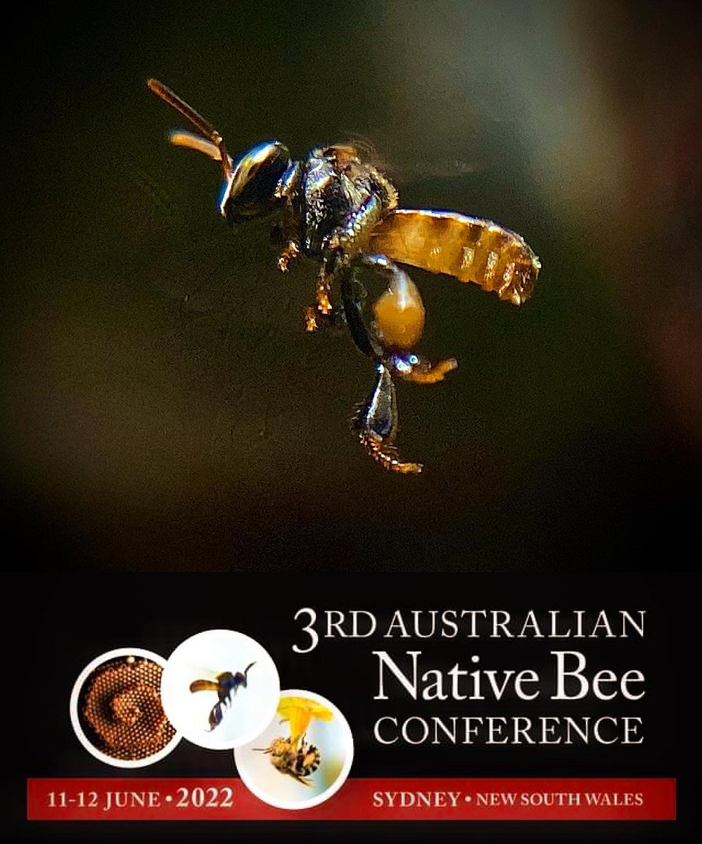 It’s just over 1 month away so have you grabbed a ticket &amp; will we see you there!