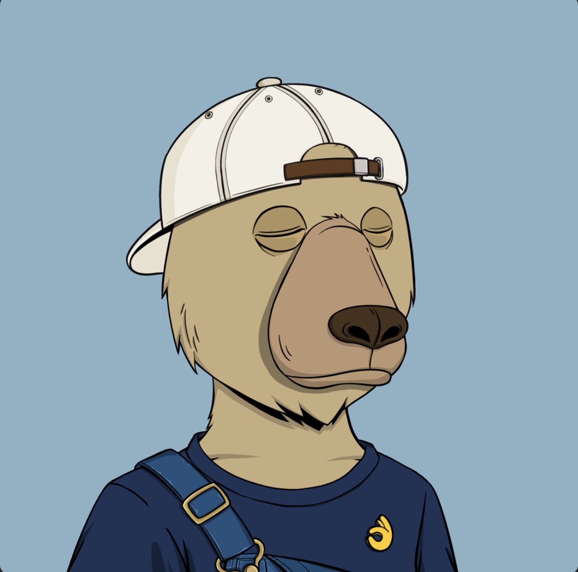 KCYNFT's tweet photo. @ryandcrypto @okaybears 👌🏻 https://t.co/qVzJEA6R0L