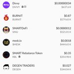 Photo by Coineus, formerly Divvy Token (@DivvySD)