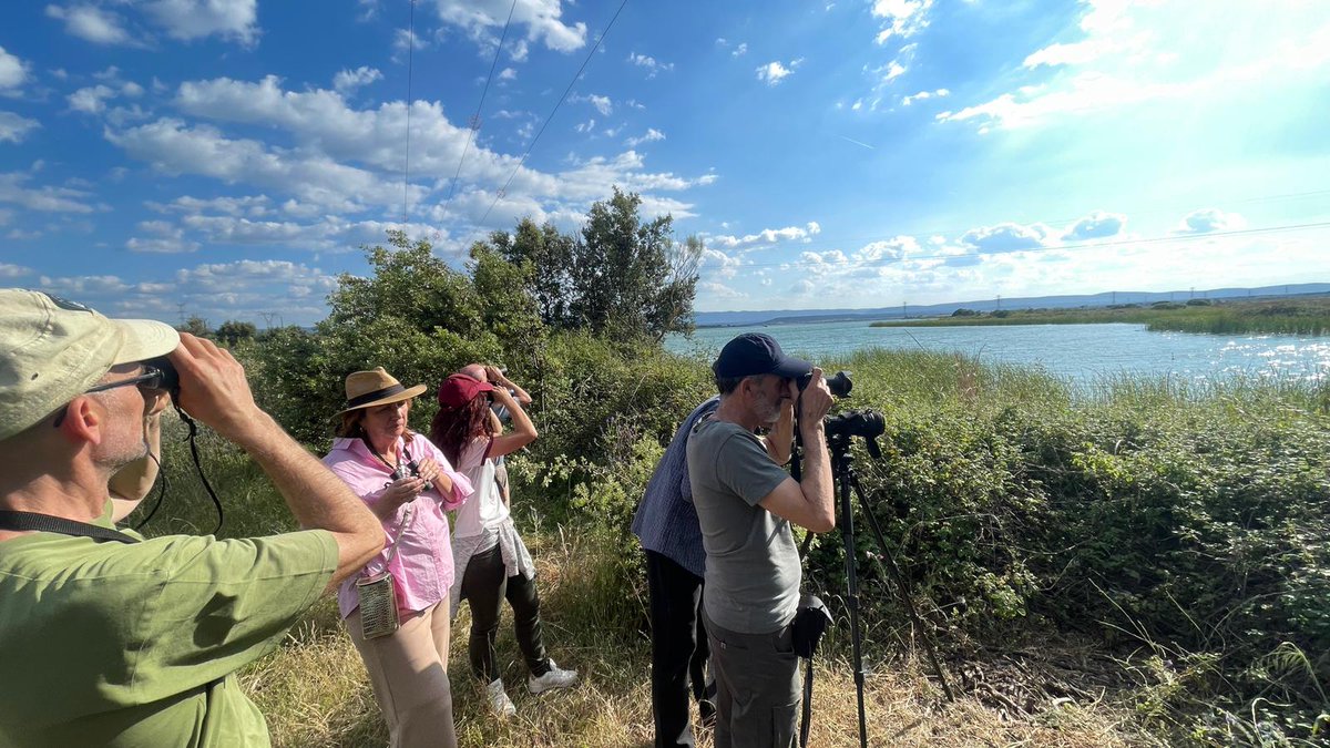 UExPlasencia's tweet photo. Ayer finalizó el Taller de Observación de Aves de las Aulas Culturales de la Universidad de Extremadura. 
Enhorabuena al profesor Alejandro Palomo Rey por el excelente taller. @ViendoVerde @ExtensionUex #aulasculturalesuex https://t.co/LheRVOTXmr