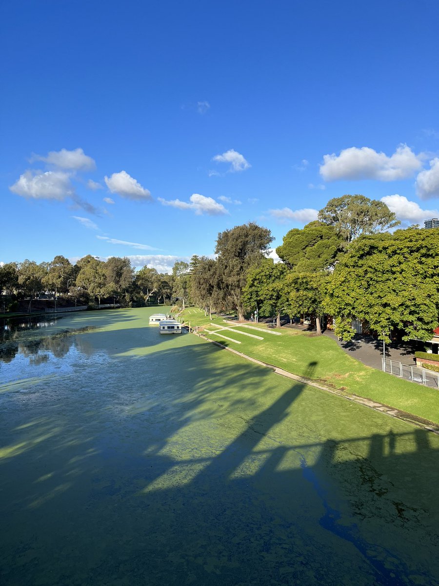 _ChemKid's tweet photo. ❤️ Adelaide, but not sure where grass ends and river Torrens begins #rivergate #Adelaide #Torrens https://t.co/eMQoS8hKKM