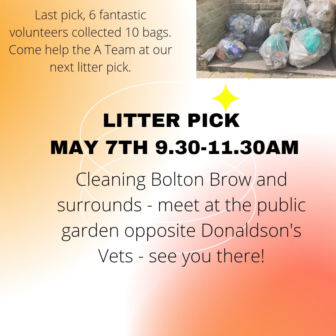 LitterfreeSB tweet media