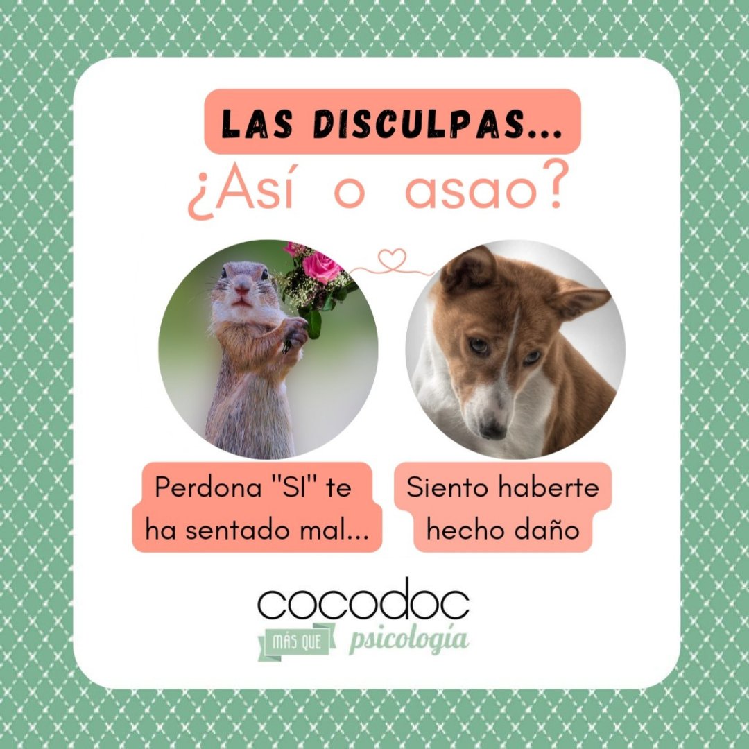 _cocodoc's tweet image. Responsabilizarse de las disculpas incluye: 
Aceptar que podemos hacer daño aunque no tengamos esa intención. 
Y no dudar de lo que siente el otro.

#responsabilidadafectiva
#losientonovolveráaocurrir
#cocodocpsicología 
#psicologíavitoria 
#VitoriaGasteiz